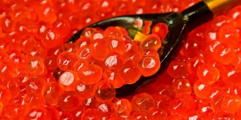 Как проверить качество красной икры